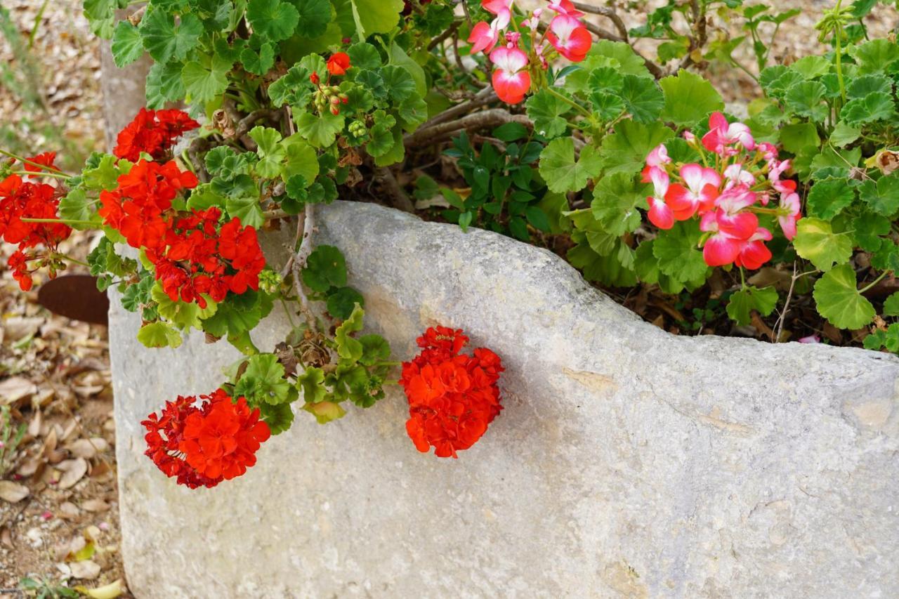 Bed and Breakfast Casina Mozart Lecce Magliano Экстерьер фото